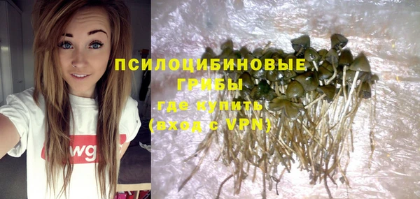 a pvp Алексин