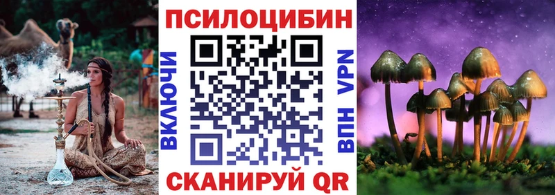 купить наркотик  Дубна  Псилоцибиновые грибы мухоморы 
